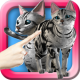 LOVE CAT!! American Shorthair (Unreleased) APK