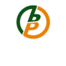 BlitzPick Application icon