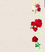 Flowers Stickers For Whatsapp APK スクリーンショット画像 #6