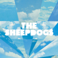 The Sheepdogs Apk