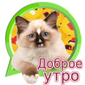 доброе утро и спокойной ночи Apk