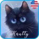 Kantty cat pictures 2017 APK