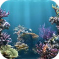 Amazing Aquarium Wallpaper Apk