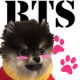 BTS Dogs (simulator) APK