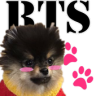 BTS Dogs (simulator) Game icon