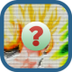 Guess Dragon Ball Z Character APK