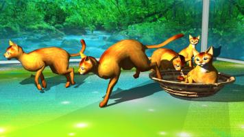 LOVE CAT!!  Abyssinian cat (Unreleased) APK Ảnh chụp màn hình #2