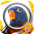 Zoom Quiz Apk