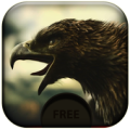 3d Eagle Live Wallpaper Apk