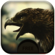 3d Eagle Live Wallpaper APK