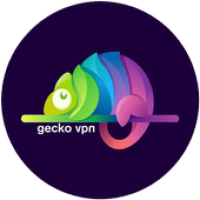 Gecko VPN APK icône