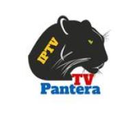 Pantera TV - Free IPTV Player APK התמונה על עטיפת הסרט