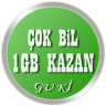 Çok Bil 1 GB Kazan Game icon