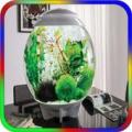 Fish Aquarium Design Apk