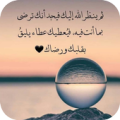 كلمات من صميم الواقع Apk