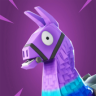 Fortnite Community Application icon