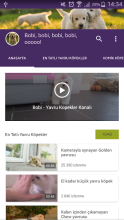 Yavru Köpek Videoları APK Download for Android