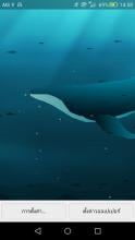 Blue Whale HD Live Wallpaper APK Download for Android