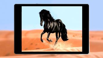 Free Horse Wallpaper Hd APK Screenshot #14