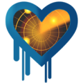 HeartBleed Detector Apk