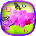 Orchid Heart Live Wallpaper Apk