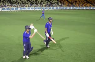 Cricket 2019 APK صورة لقطة الشاشة #3