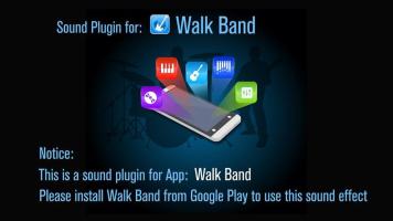 Walk Band Fingered Bass sound APK capture d'écran Thumbnail #6