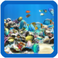 Aquarium Live Wallpaper Apk