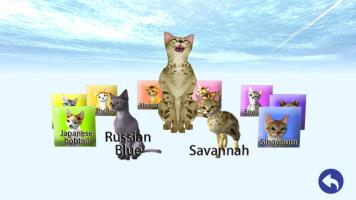 LOVE CAT!! Savannah cat (Unreleased) APK 螢幕截圖圖片 #2