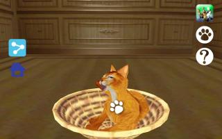 LOVE CAT!!  Abyssinian cat (Unreleased) APK Ảnh chụp màn hình #8