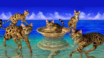 LOVE CAT!!  -Bengal cat (Unreleased) APK Ảnh chụp màn hình #9