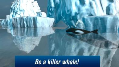 Killer Whale: Orca Simulator APK Download for Android