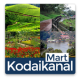 Kodaikanal Business Guide APK