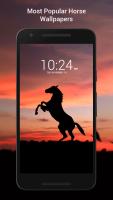 Free Horse Wallpaper Hd APK Screenshot #1