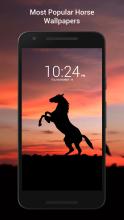 Horse Wallpaper HD APK Download for Android