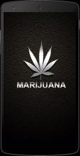 Marijuana HD Wallpapers APK Download for Android