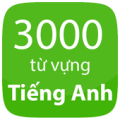 3000 tu tieng anh thong dung Apk