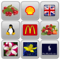 Memory Tiles Apk