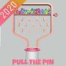 Take The Pin 2020 Game icon