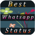 Best whatsapp status Apk