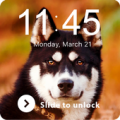 Hasky Little Dog Smart Puppy Cute Screen Lock Apk