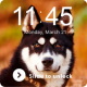 Hasky Little Dog Smart Puppy Cute Screen Lock APK