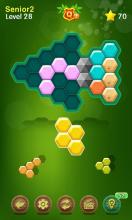 Hexa Puzzle Legend: Free game APK Download for Android