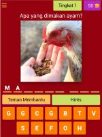 Maggot BSF Quiz 2020, Pondasi Bisnis Ternak Maggot APK 屏幕截图图片 #8