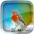 Birds Wallpaper HD Apk