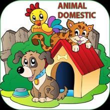 Domestic Animal APK Download for Android