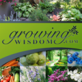 Growing Wisdom Apk