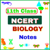 Изображения 11th Class Biology (NCERT) Notes на ПК с Windows