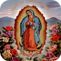 Virgen de Guadalupe  Imagenes Apk