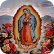 Virgen de Guadalupe  Imagenes APK